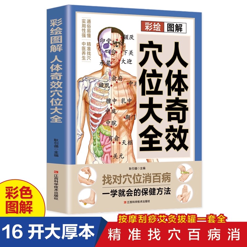 Health & Wellness Japan - 경혈 마사지 및 TCM 건강 보존